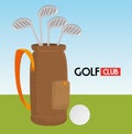 Sport golf club