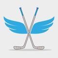 Sport hockey