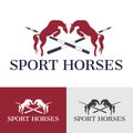 Sport Horses