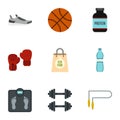 Sport icons set, flat style Royalty Free Stock Photo