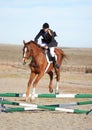 Sport, jump and equestrian with woman on horse for show, competition and performance. Training, derby and health with Royalty Free Stock Photo