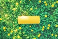 Sport lifestyle background with rolled yellow yoga mat on grass with dandelions Royalty Free Stock Photo