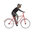 Sport man on bicycle. Cyclist african guy rides on bike in headphones, outdoor activities in park, simple character