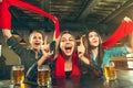 Sport, people, leisure, friendship and entertainment concept - happy football fans or female friends drinking beer and