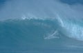 Sport photography. Jaws swell on International surfing event in Maui, Hawai 2021 December.