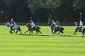 Sport_polo tournament