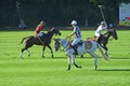 Sport_polo tournament