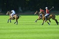 Sport_polo tournament