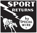 Sport Returns Royalty Free Stock Photo