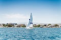 Sport sailing boat in front of a shore during regatta