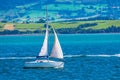 Sport sailing ship sailing through bay