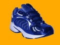 Sport shoe