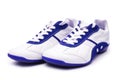 Sport shoe isolated Royalty Free Stock Photo