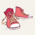 Sport shoes. Sneakers. Royalty Free Stock Photo