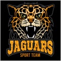 Sport team - Jaguar, wild cat Panther. Vector illustration, black background, shadow. Royalty Free Stock Photo