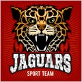 Sport team - Jaguar, wild cat Panther. Vector illustration, red background, shadow. Royalty Free Stock Photo