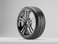 Sport tire with glossy black rim scene