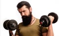 Sport and training. Fitness man with dumbbells. Bearded guy making weightlifting. Sportsman working out with dumbbell. Royalty Free Stock Photo