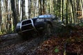 Sport utility vehicle or SUV overcomes obstacles. Motor racing in autumn forest Offroad race on fall nature background