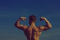 Sport and workout. Man with muscular wet body. Royalty Free Stock Photo