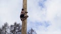 A sporting man climbing a wooden pole to get the box with the prize, slavonic holiday Maslenitsa Shrovetide . Action. A