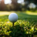 Sporting serenity Golf ball on tee, green grass closeup Royalty Free Stock Photo