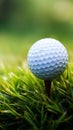 Sporting serenity Golf ball on tee, green grass closeup Royalty Free Stock Photo