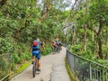 Sportive middle age man cycling along a trail in national park, Hong Kong Island. Nice sport for active people. Healthy lifestyle