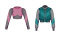 Sportive Zippered Track Jacket with Long Sleeves Vector Set