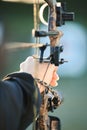 Sports archer, hands and bow and arrow training for archery competition, athlete challenge or girl field practice Royalty Free Stock Photo