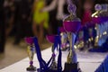 Sports awards and cups for winning international competitions Royalty Free Stock Photo