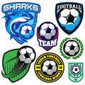 Sports badge with a soccer ball and shark for the team, colored vector illustration