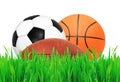 Sports balls on green grass over white Royalty Free Stock Photo