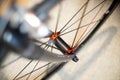 Sports bicycle front wheels in motion Royalty Free Stock Photo