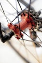 Sports bicycle rear axle with quick disconnect wheels