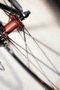 Sports bicyclerear axle with wheels in motion Royalty Free Stock Photo