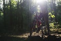 Sports bike in the spring forest in the rays of sunlight