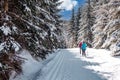 sports Cross-country skiing in the Snow Footprints in the woods Royalty Free Stock Photo