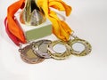 award for the winner, sports medals close-up