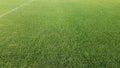 Sports grass field