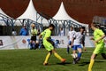 Sports holiday on Red Square, devoted to Day of protection of the child.