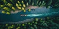 A sports kayak floats along the river in the forest, top view. Generative ai
