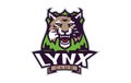 Sports logo with lynx mascot. Colorful sport emblem with lynx, bobcat mascot and bold font on shield background. Logo Royalty Free Stock Photo