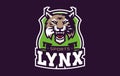 Sports logo with lynx mascot. Colorful sport emblem with lynx, bobcat mascot and bold font on shield background. Logo Royalty Free Stock Photo