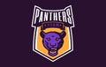 Sports logo with panther mascot. Colorful sport emblem with panther, puma mascot and bold font on shield background Royalty Free Stock Photo