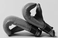 Sports and martial arts concept. Leather box equipment for fight and training. Pair of boxing gloves lying next to each Royalty Free Stock Photo