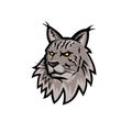 Maine Coon Cat Head Mascot