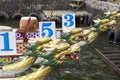 Sports Native Row Dragon head Boats Parked at Lake shore during Dragon Cup Competition. Royalty Free Stock Photo