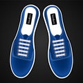 Sports shoes, sneakers realistic blue view from above.
