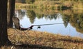 Sports fishing with one rod and comfortable folding tourist chair on river bank Royalty Free Stock Photo